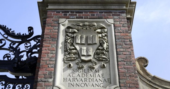 Trump International Student Ban | ABnewz