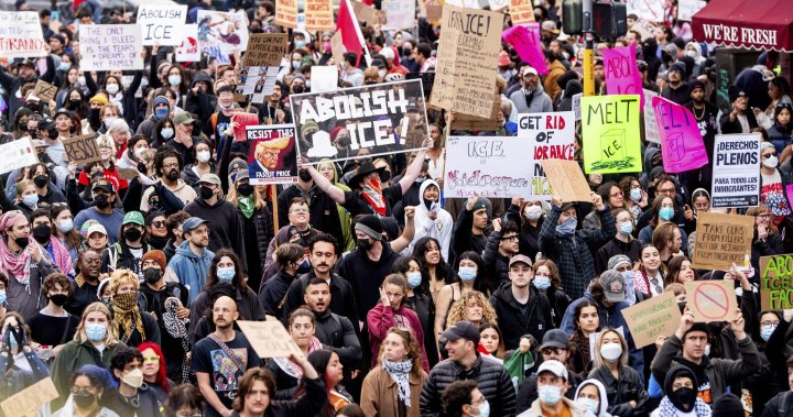 Trump ICE Protests | ABnewz