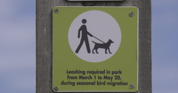 Vancouver Island Dog Attacks | ABnewz
