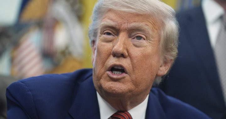 Trump Musk Democrat Backing | ABnewz