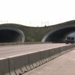Kananaskis wildlife overpass | ABnewz