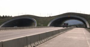 Kananaskis wildlife overpass | ABnewz